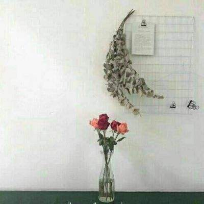 斗牛棋牌app下载